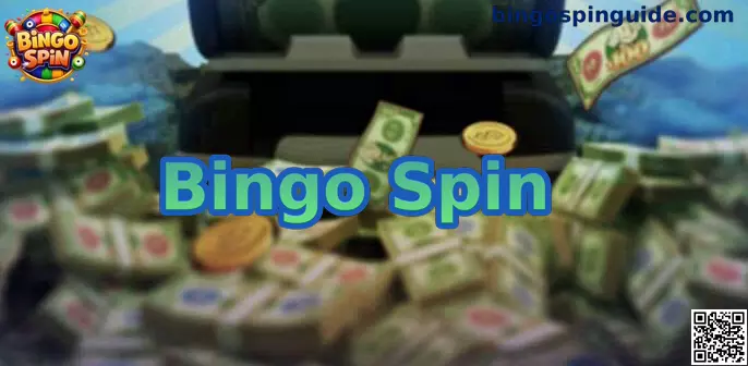 Bingo Spin de un vistazo