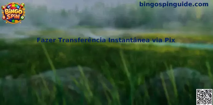 Guía de transferencia instantánea vía Pix