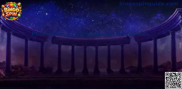 Protección y configuración de cookies Bingo Spin México