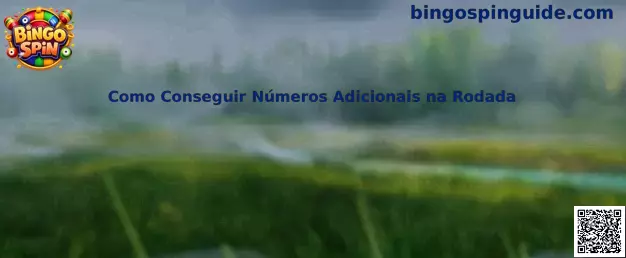 Guía sobre números adicionales en Bingo Spin