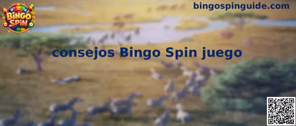 Información visual sobre consejos Bingo Spin juego