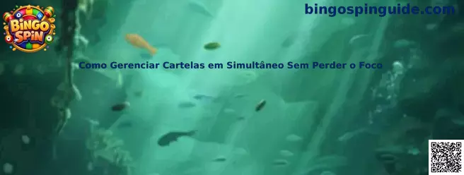 Guía para gerenciar cartelas en simultáneo sin perder el foco